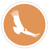 excursión